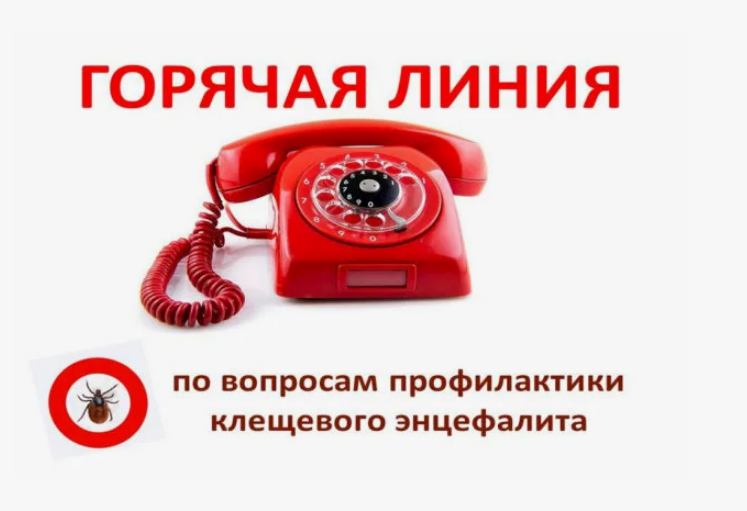 🕷Роспотребнадзор запускает «горячую» линию по профилактике клещевых инфекций!.